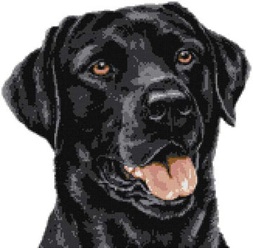 Black labrador close up (v2) cross stitch kit