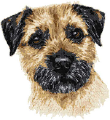 Border Terrier grizzle cross stitch kit