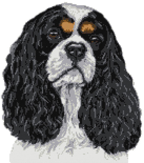 Cavalier King Charles tricolour counted cross stitch kit