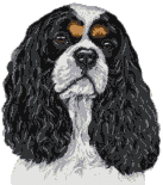 Cavalier King Charles tricolour counted cross stitch kit - 1