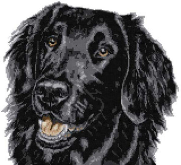 Flat coated black retriever portrait cross stitch kit