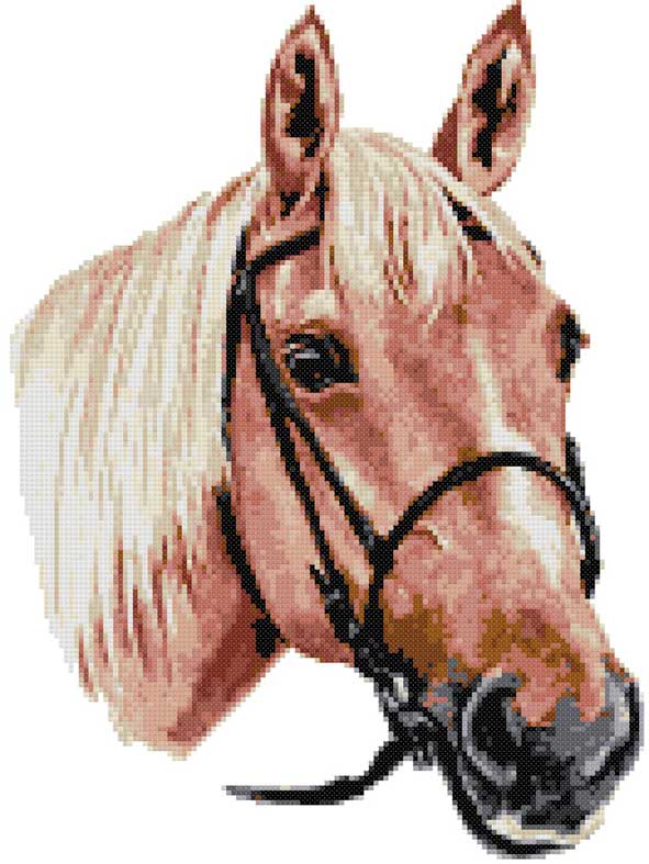 Pferd Kreuzstich-Set – Mini-Stickerei-Set Mit Rahmen & Garn, 13x13 Cm (Design: Pony)