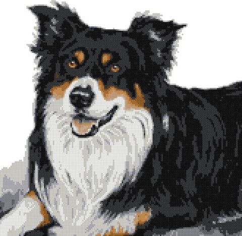 Tricolour border collie (v2) counted cross stitch kit