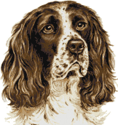 Brown Springer Spaniel counted cross stitch kit