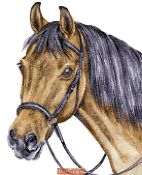 Bay horse cross stitch kit