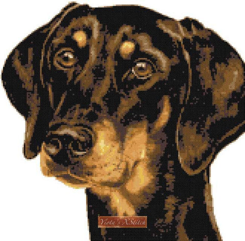 Doberman dog cross stitch kit.