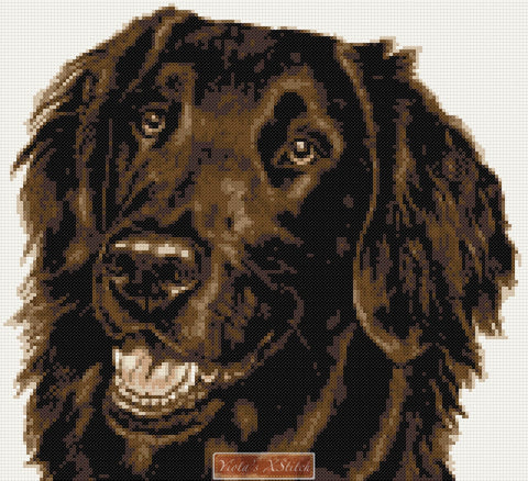 Flat coated chocolate brown retriever counted cross stitch kit