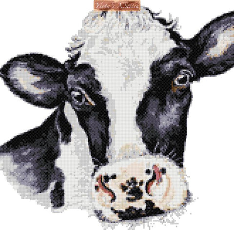 Friesian cow cross stitch kit