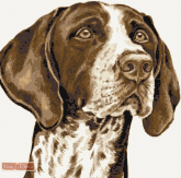 German shorthaired pointer counted cross stitch kit - 1