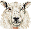 Sheep (v3) cross stitch kit - 1