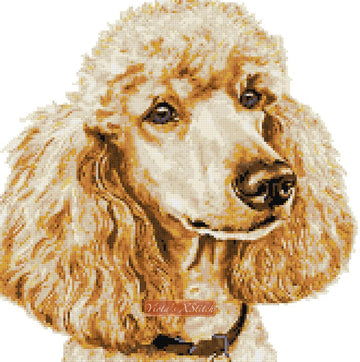 Apricot poodle cross stitch kit