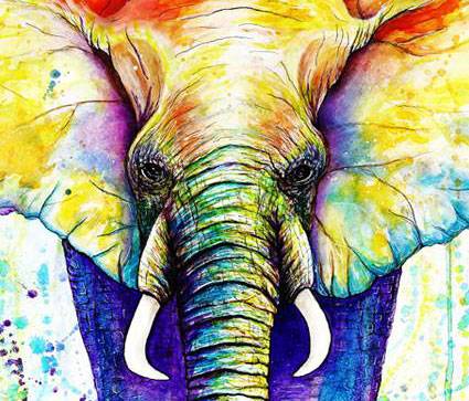 Elephant cross stitch kits
