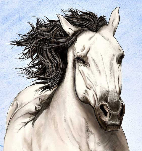 Horses cross stitch kits