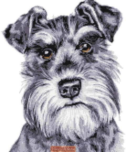 Schnauzer cross stitch kits