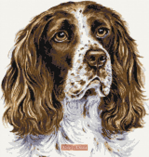 Springer Spaniel cross stitch kits