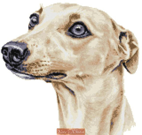 Whippet cross stitch kits