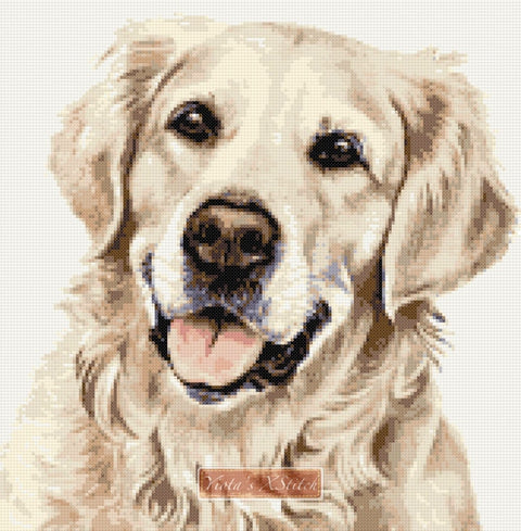 Retriever cross stitch kits