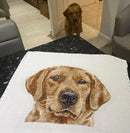 Fuchs roter Labrador (v2) Kreuzstich-Set-2