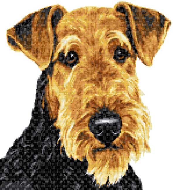 Airedale portrait cross stitch kit