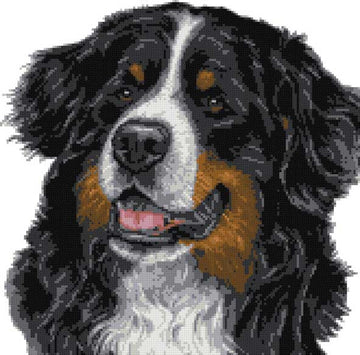 Bernese mountain (v2) cross stitch kit
