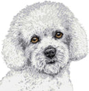 Bichon Frise portrait (v2) cross stitch kit-1