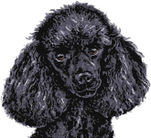 Black poodle (v3) cross stitch kit