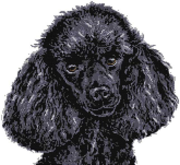 Black poodle (v3) cross stitch kit - 1
