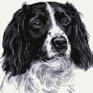 Kreuzstich-Set „Schwarzer Springer Spaniel Nr. 2“