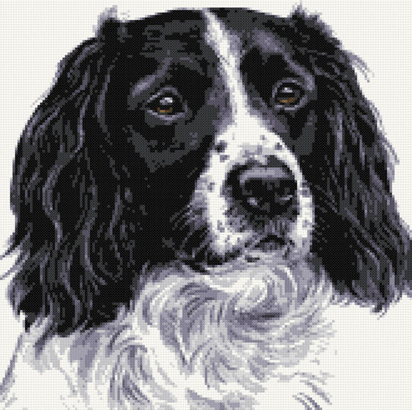 Kreuzstich-Set „Schwarzer Springer Spaniel Nr. 2“