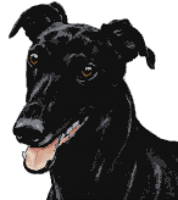 Kit de point de croix Lévrier noir (v2)