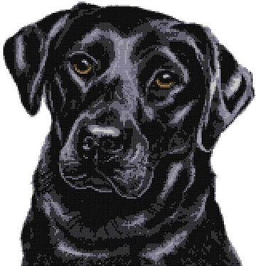 Black labrador No7 (v2) cross stitch kit