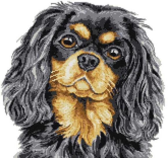 Black tan Cavalier King Charles (v2) cross stitch kit