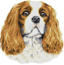 Kit de point de croix Blenheim Cavalier King Charles (v2)-1
