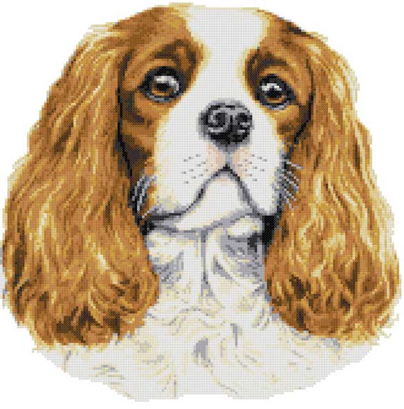Blenheim Cavalier King Charles (v2) cross stitch kit