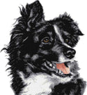 Border collie No9 counted cross stitch kit - 1
