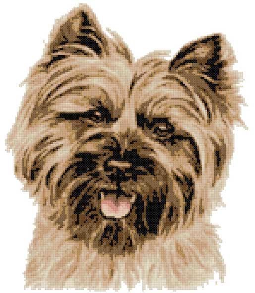 Cairn Terrier (v3) cross stitch kit