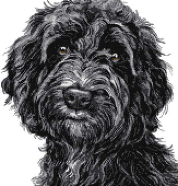 Black Cockapoo (v3) cross stitch kit