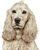 Cocker Spaniel Zitrone Kreuzstich-Set-1