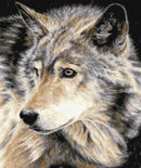 Curious eyes (v2) wolf cross stitch kit-1
