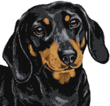 Dachshund black and tan (v2) cross stitch kit