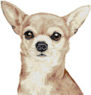 Kreuzstich-Set „Rehbrauner Chihuahua (v2)“-1