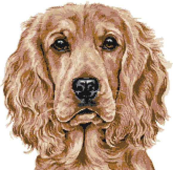 Kreuzstich-Set „Goldener Cocker Spaniel“ (v3)