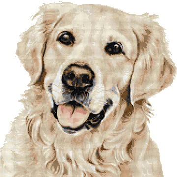 Golden retriever portrait cross stitch kit