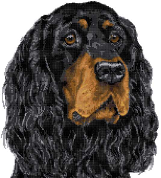 Gordon Setter Porträt Kreuzstich-Set