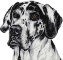 Great Dane Harlequin cross stitch kit-1