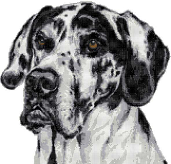 Great Dane Harlequin cross stitch kit