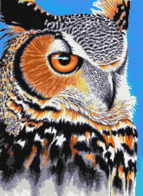 Great horned owl eye (v2) modern cross stitch kit