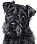 Patterdale Terrier (v3) cross stitch kit - 1