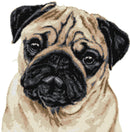 Pug (v3) cross stitch kit-1