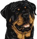Rottweiler-Porträt-Kreuzstichset-1